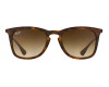 Ray-Ban Youngster 4221 865/13